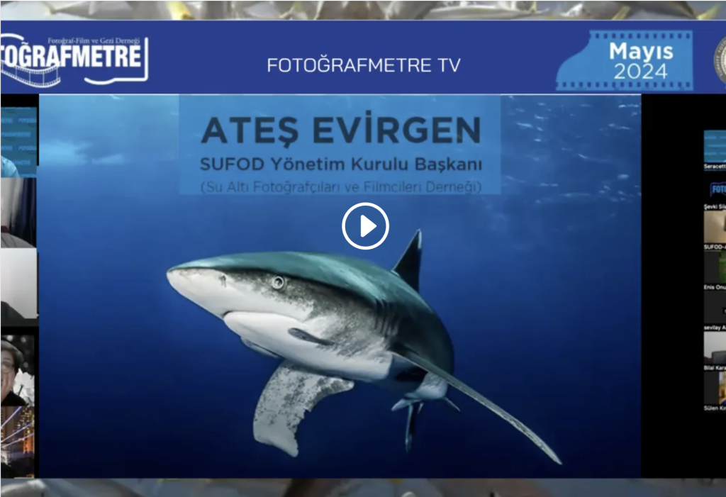 FOTOĞRAFMETRE ATEŞ EVİRGEN SUNUM