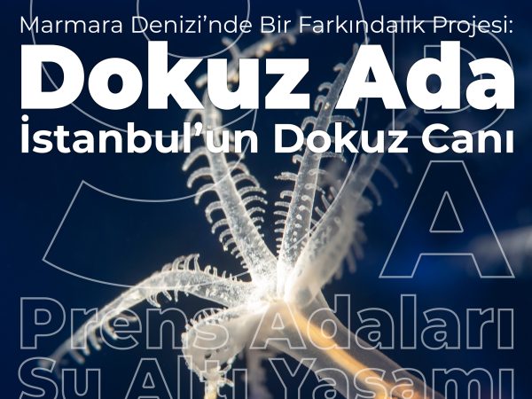 Dokuz Ada İstanbul’un Dokuz Canı