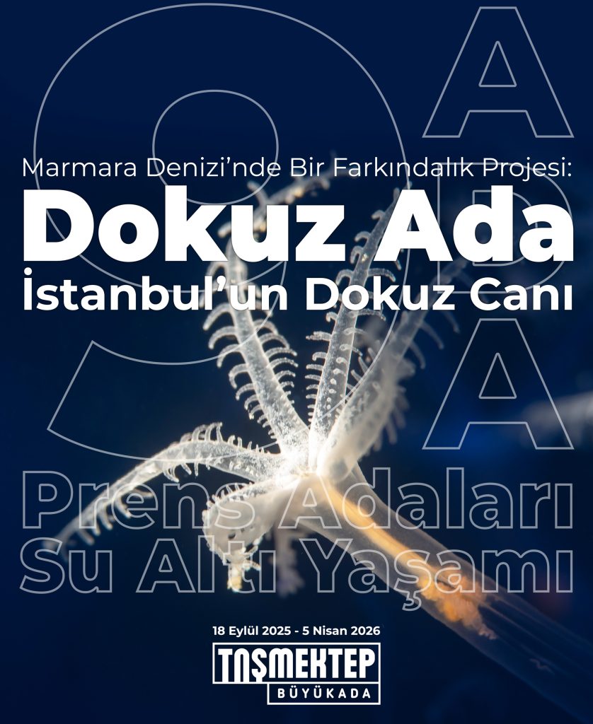 Dokuz Ada İstanbul’un Dokuz Canı