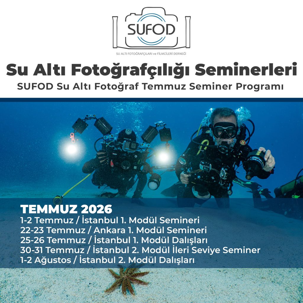 SUFOD Su Altı Fotoğraf Temmuz Ayı Seminer Programı