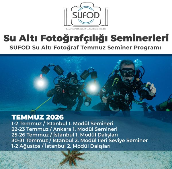 SUFOD Su Altı Fotoğraf Temmuz Ayı Seminer Programı
