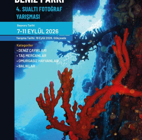 Gökçeada Deniz Parkı 4. Sualtı Fotoğraf Yarışması