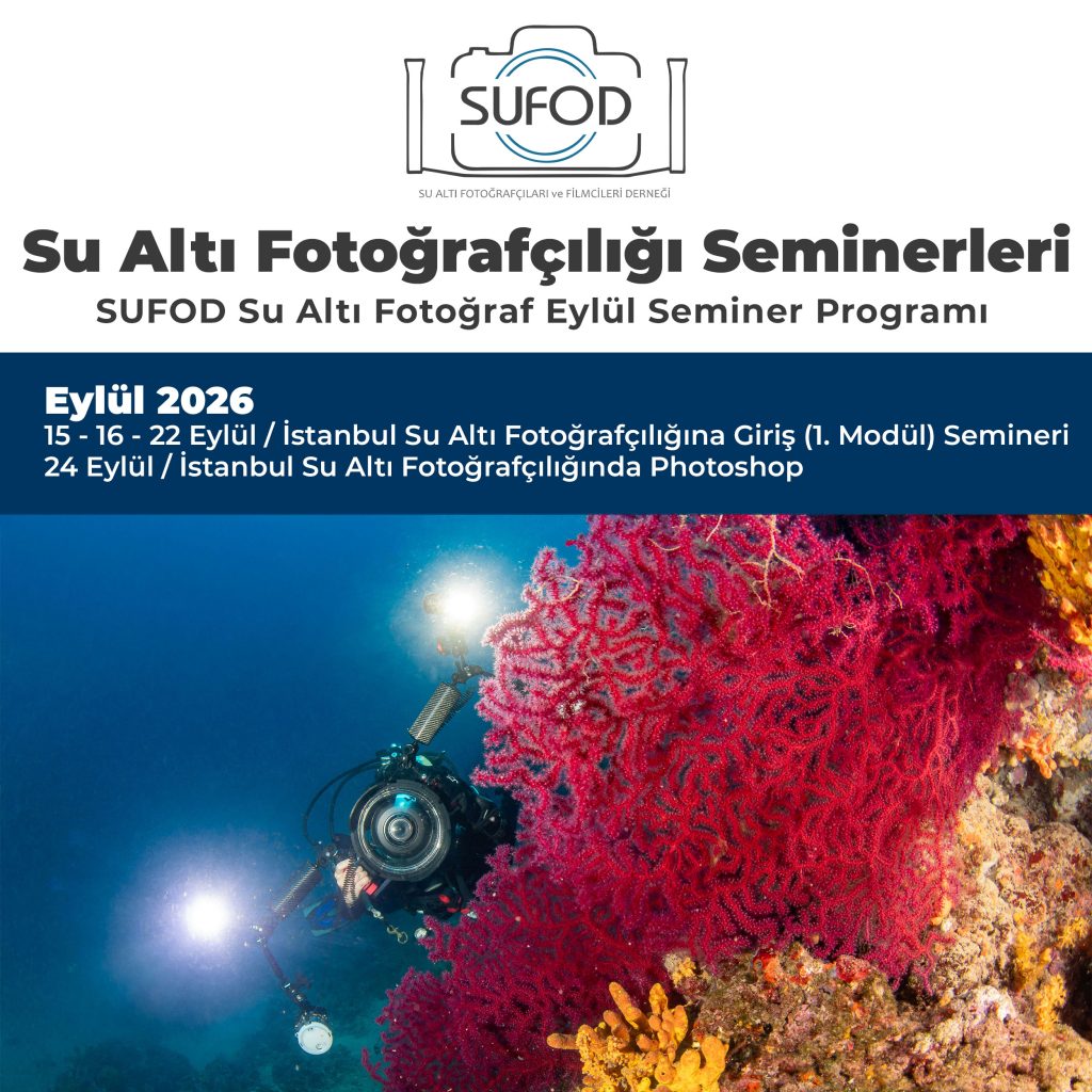 SUFOD Su Altı Fotoğraf Eylül Ayı Seminer Programı