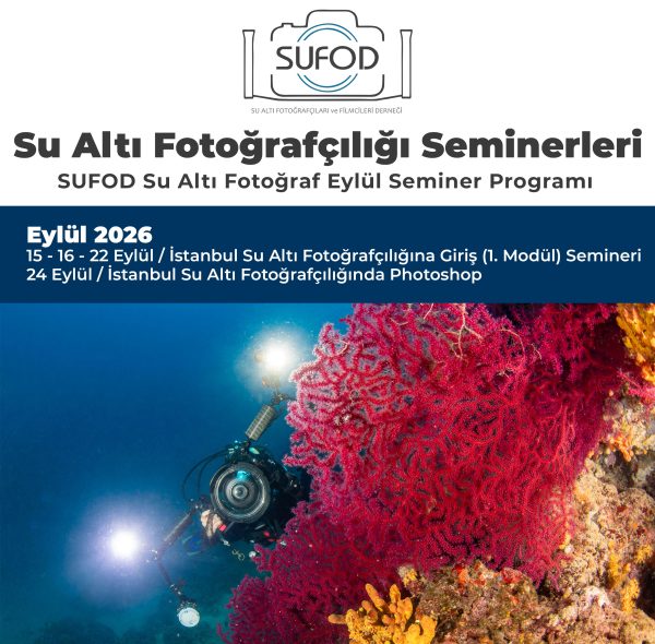 SUFOD Su Altı Fotoğraf Eylül Ayı Seminer Programı